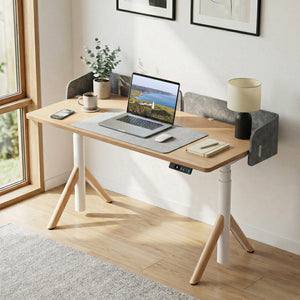 Robin Pro Smart Electric Sit Stand Desk