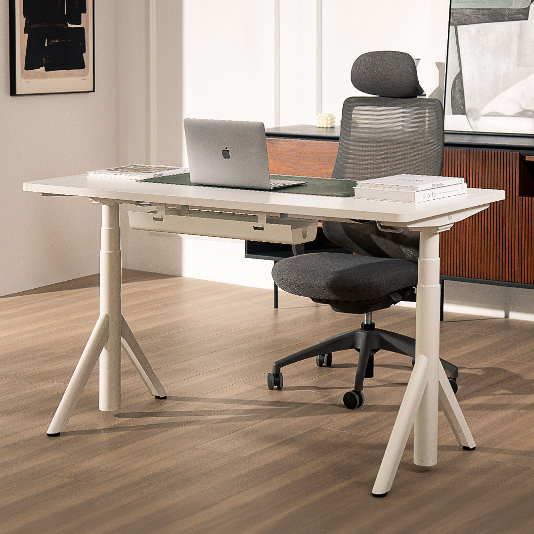 Robin Pro Standing Desk and Ergonomic Chair Set