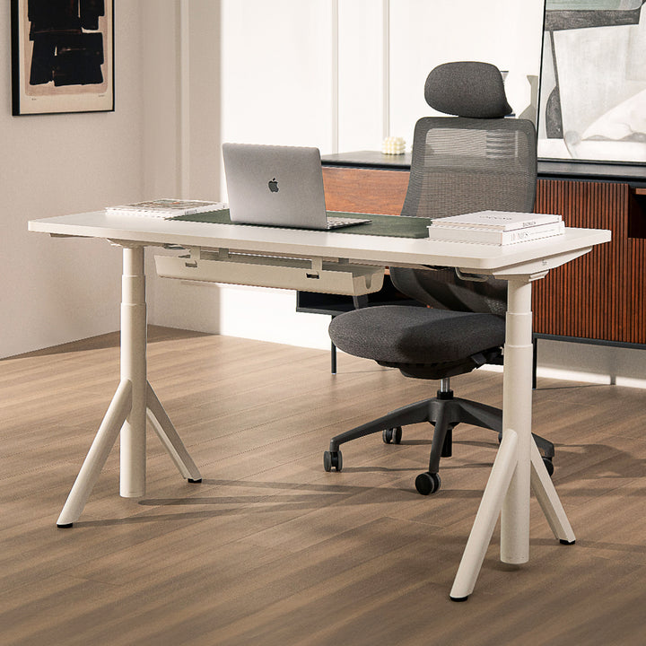 Robin Pro Standing Desk and Ergonomic Chair Set