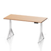 Robin Pro Dual Motors Melamine Top Home Sit Stand Desk