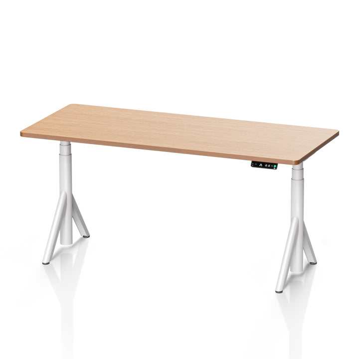 Robin Pro Dual Motors Melamine Top Home Sit Stand Desk