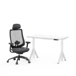 Robin Standing Desk And Newton Ergonomic Chair