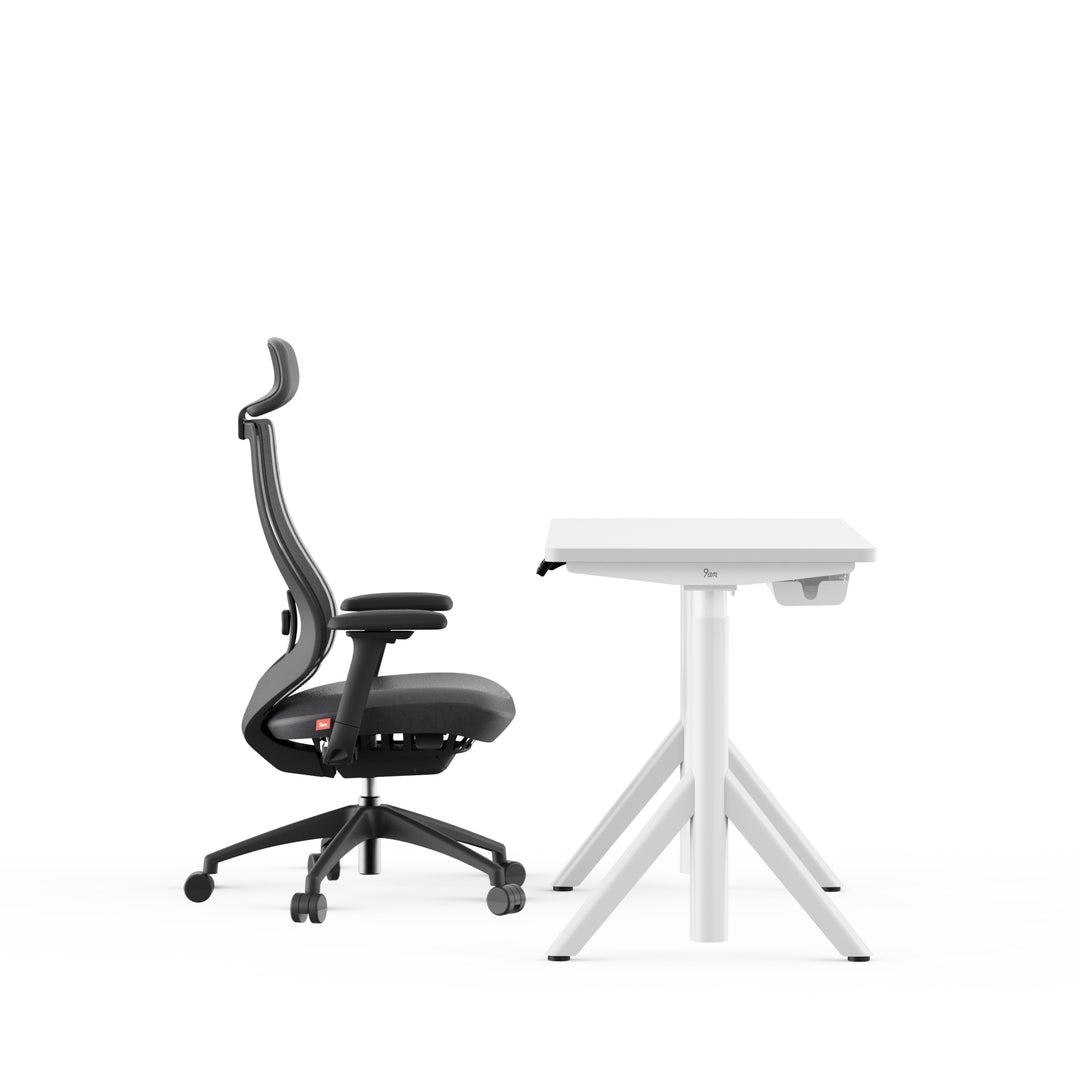 Robin Standing Desk And Newton Ergonomic Chair Set