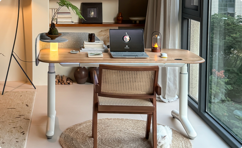 Your Complete Guide to the Dora Pro Modern Smart Desk