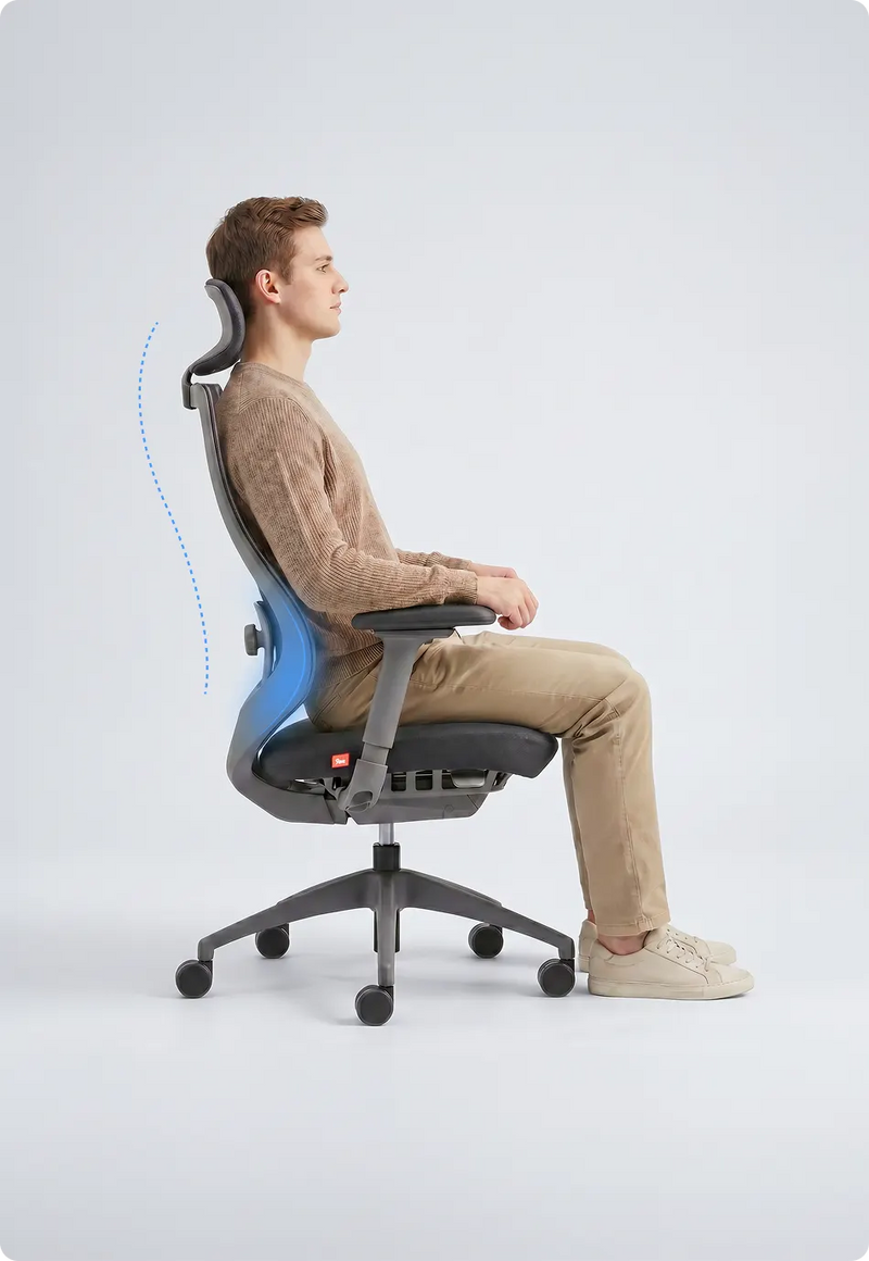 The Chair & Your Spine