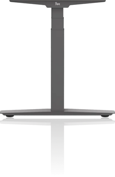 Pesk Pro Hardwood Home Office Electric Standing Desk